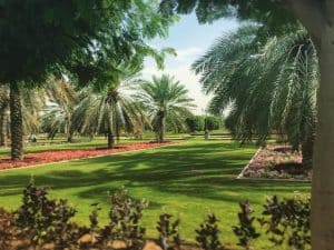 Beautiful green garden from a park just outside of Muscat ion Oman