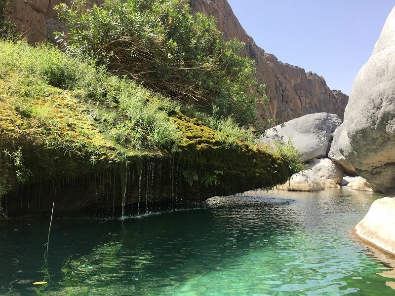 Beautiful green waters at Wadi Damm