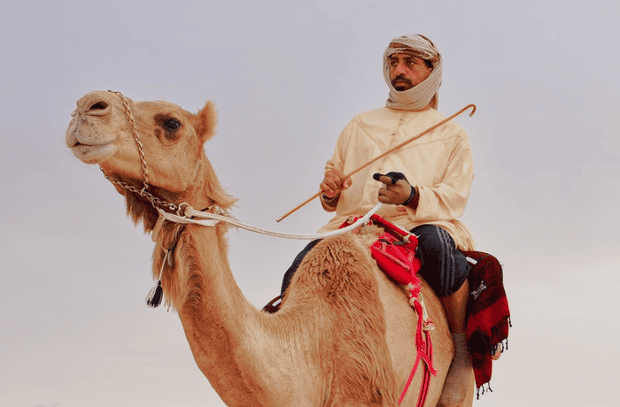 Emirati man riding a camel in traditional Emirati dress with his ghutra wrapped around his head and holding a small traditional cane