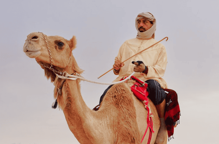 Man wearing traditional Emirati clothes with a traditional Emirati stick and ghutra on his head. Riding a camel like the traditional bedouin culture of UAE