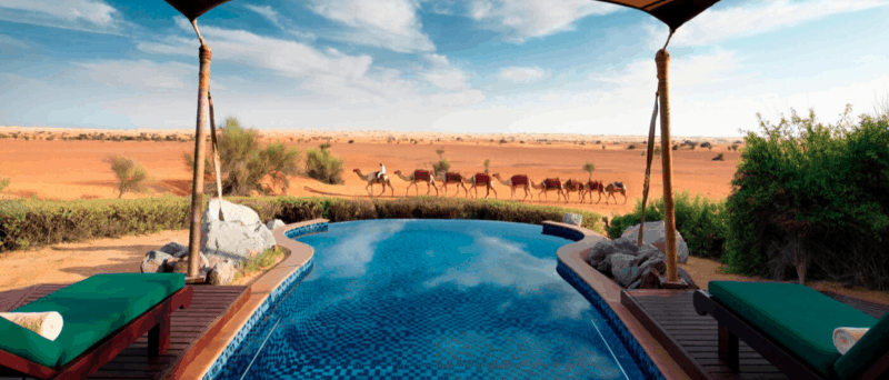 The private pool and view into the desert from Al Maha Luxury Resort in Dubai with camels crossing in the background