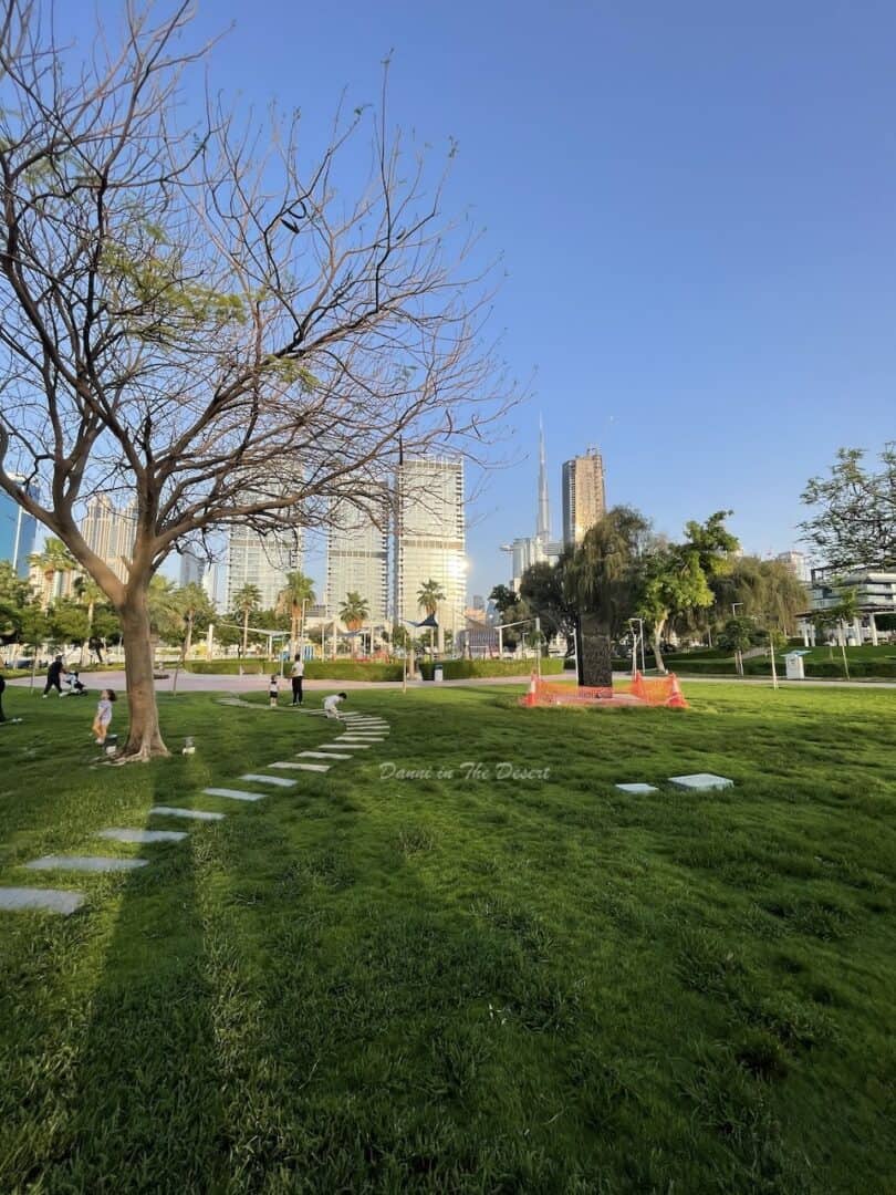 The children's playground visible from the cafe and Al Khazan Park grass surrounding the cafe