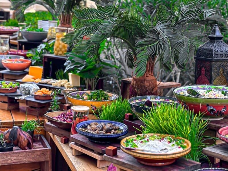 Beautiful greenery with the salad section at The Talk Restaurant in JBR