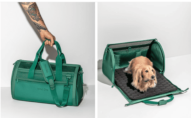 Unique soft sided pet carrier that rolls out into a bed for transporting pets in a green colour with a small dog sat on the bed as an example
