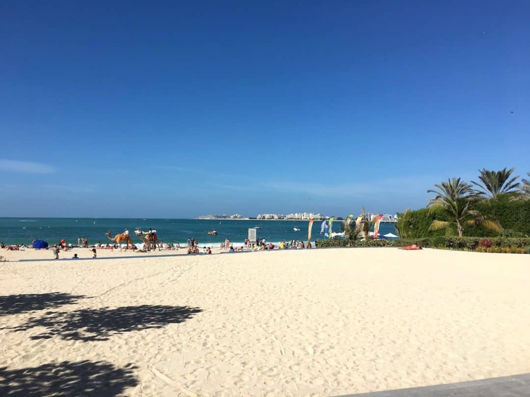 JBR beach with a view of the sea and partial view of Palm Jumeirah, people sit on the beach and two camels  are also giving people rides on the beach