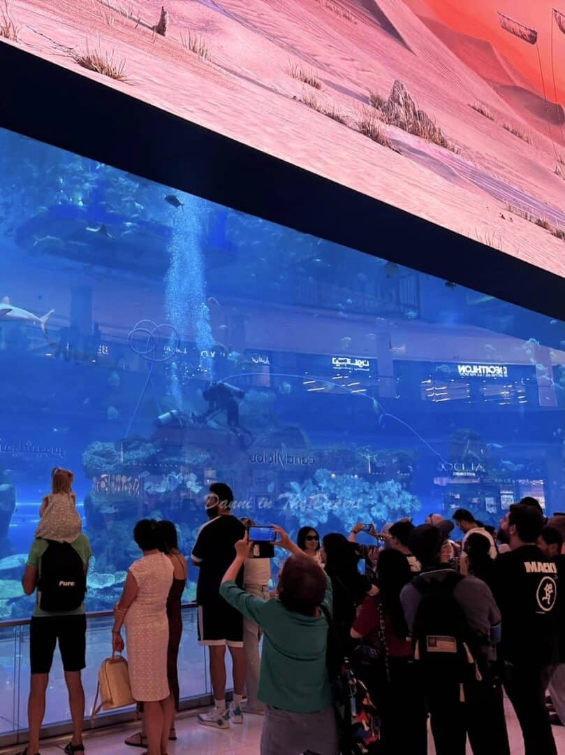 Crowds of people in front of Dubai Aquarium with some tourists taking photos as divers inside take care of the coral and rocks and fish swim by
