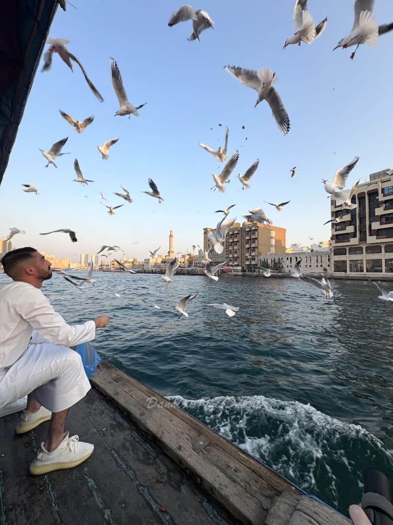 Tour guide throwing food while sat on a traditional wooden abra, floating across dubai creek as the seafulls flock to eat the bread